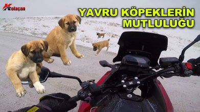 Kar altında yavru köpek aradık | Ankara ayazında motosiklet sürmek | Motovlog
