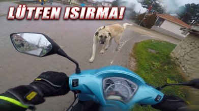 Issız Köyde Köpekle Başbaşa | Islanmak için motosiklet sürmek | Honda Dio motovlog kolaçan